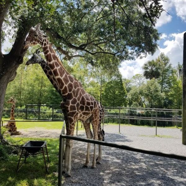 Audubon Zoo Image